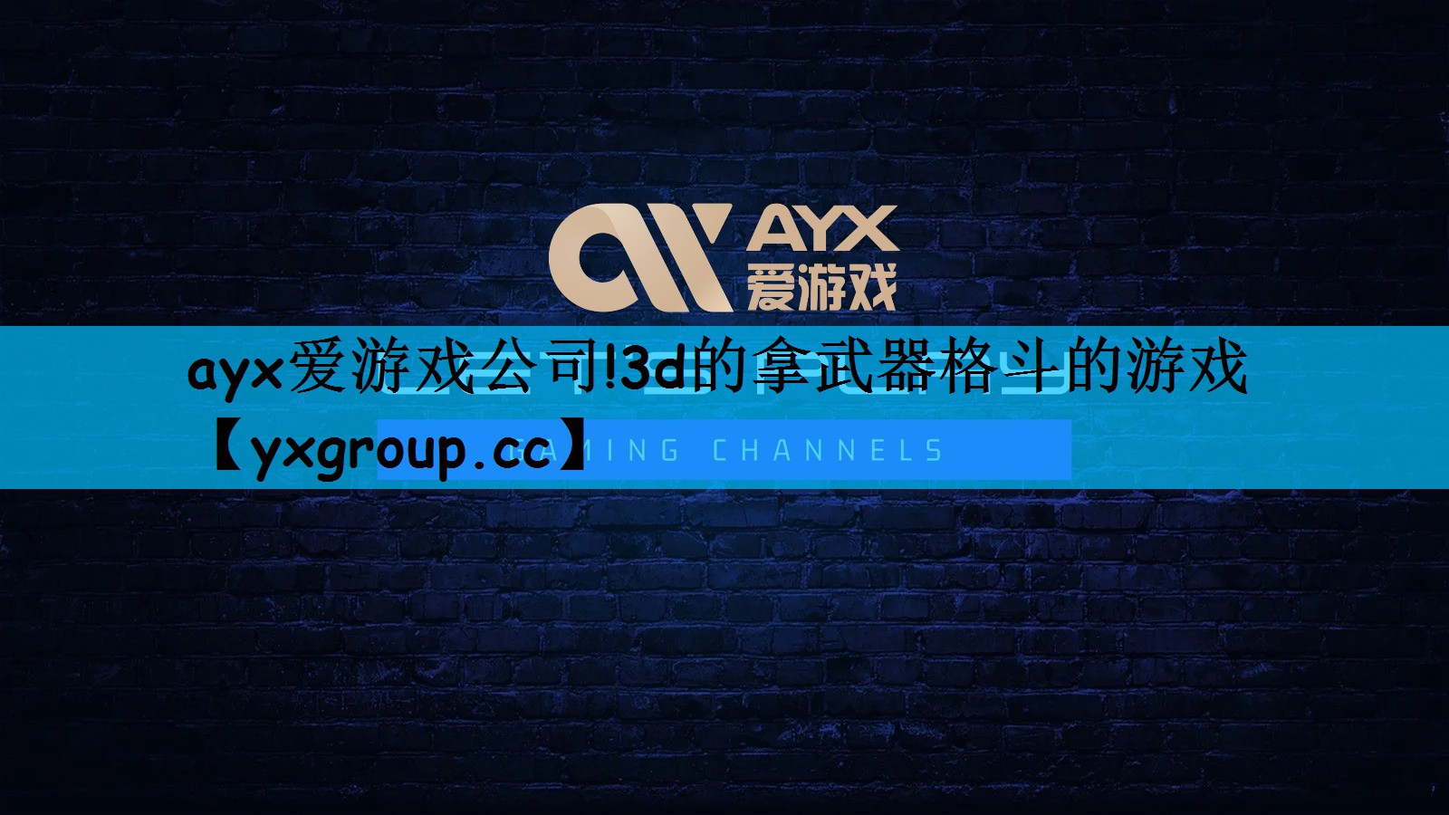 ayx爱游戏公司!3d的拿武器格斗的游戏