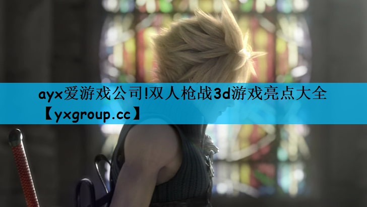 ayx爱游戏公司!双人枪战3d游戏亮点大全