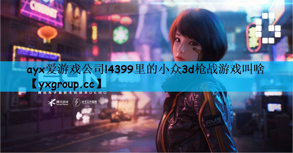 4399里的小众3d枪战游戏叫啥